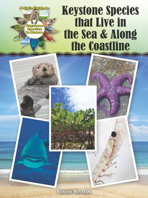 cover image of Keystone Species that Live in the Sea and Along the Coastline